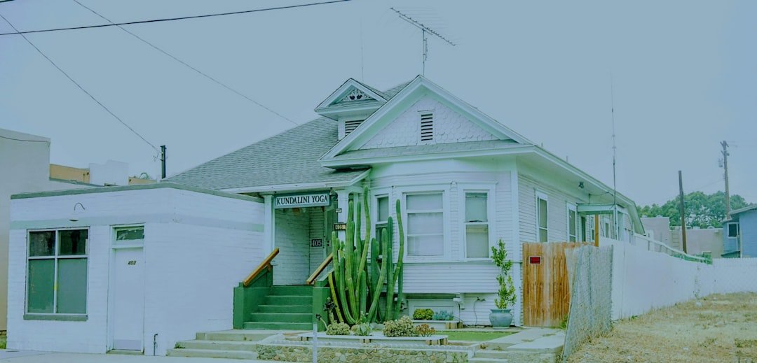 white and gray wooden house near green palm trees during daytime