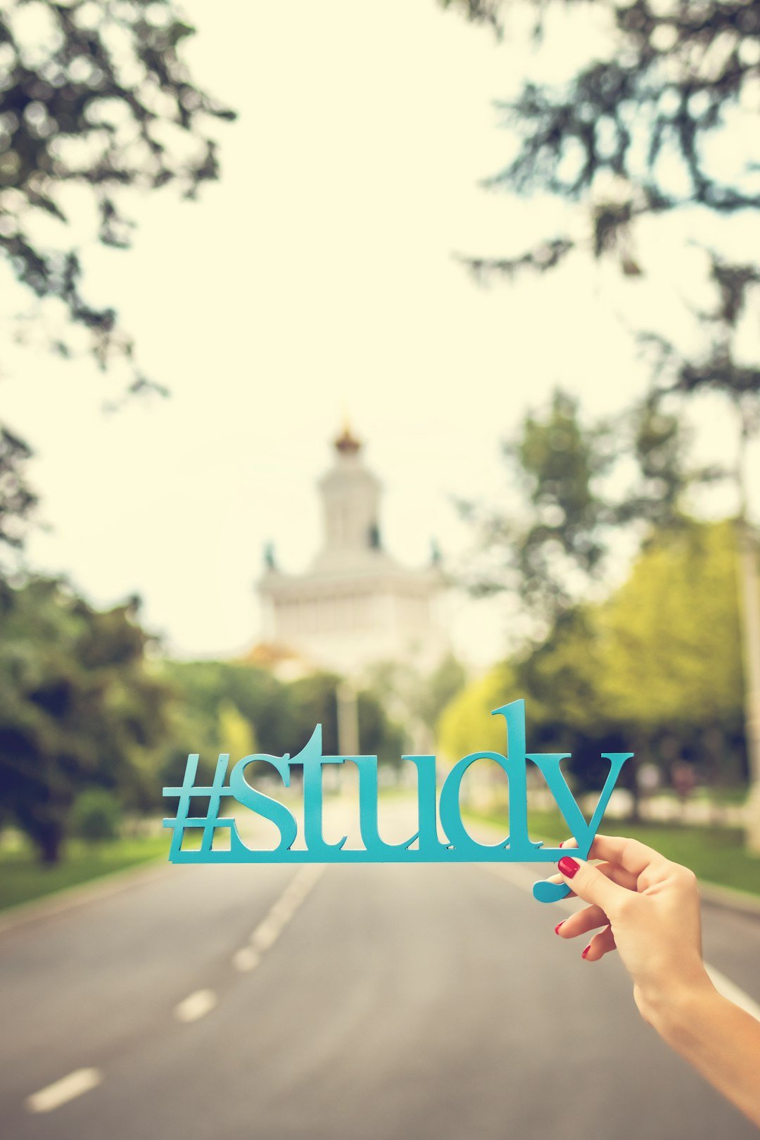 a person holding up a sign that says study