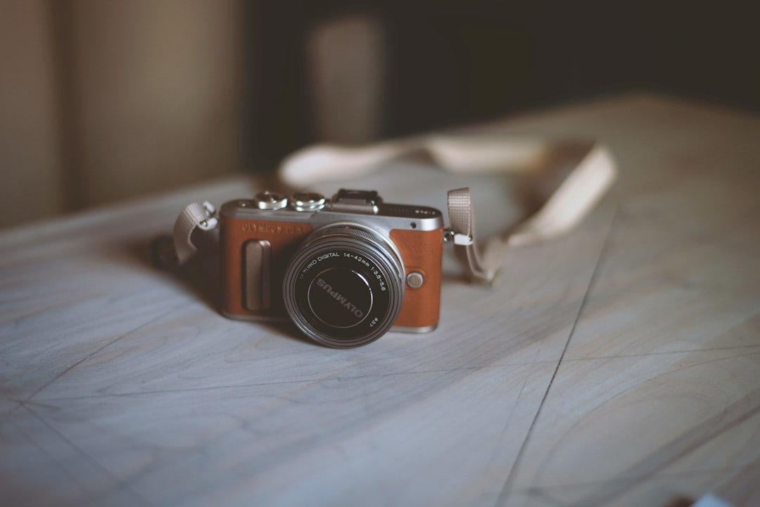 brown and silver camera on brown wooden table