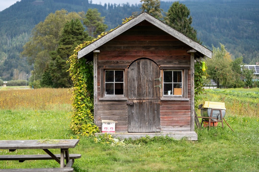 A small wooden shed sitting in the middle of a field